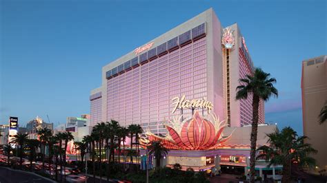 las vegas hotel and casino reviews|20347 Verified Reviews of Flamingo Las Vegas Hotel & Casino.